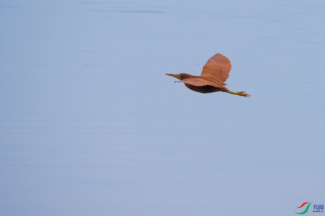 DSC_5712a.jpg