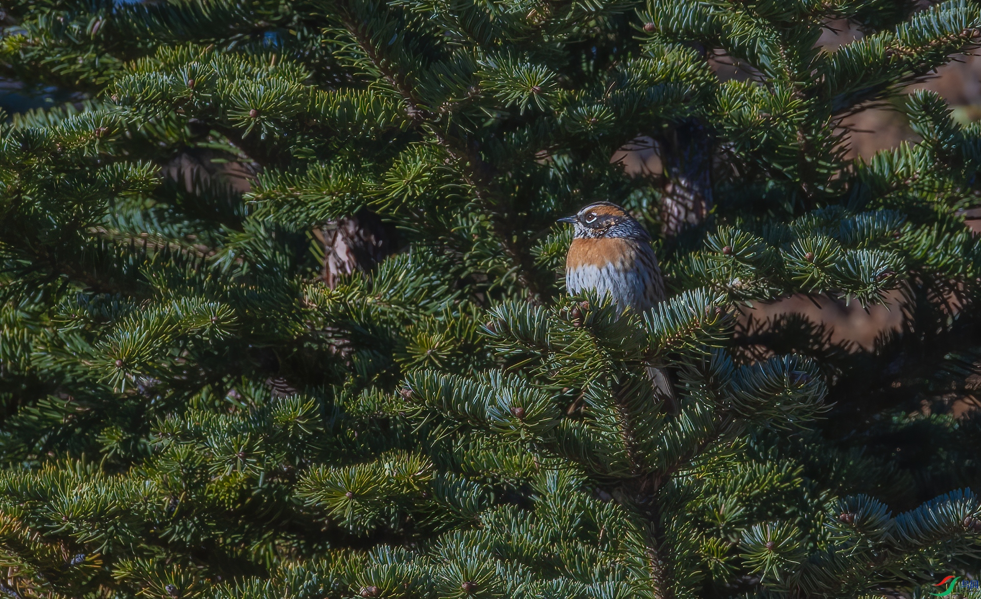 DSC_0332.jpg