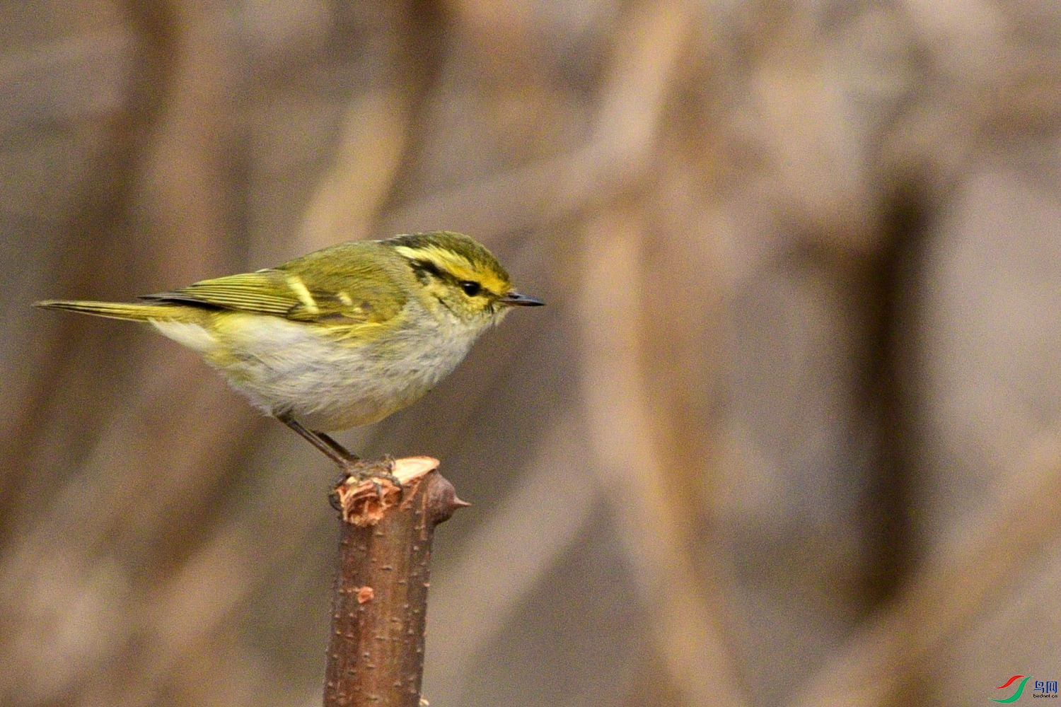 DSC_2056.JPG