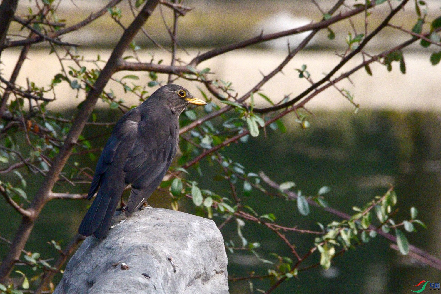 DSC_2402.JPG