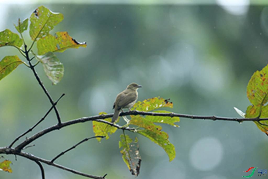 102.jpg