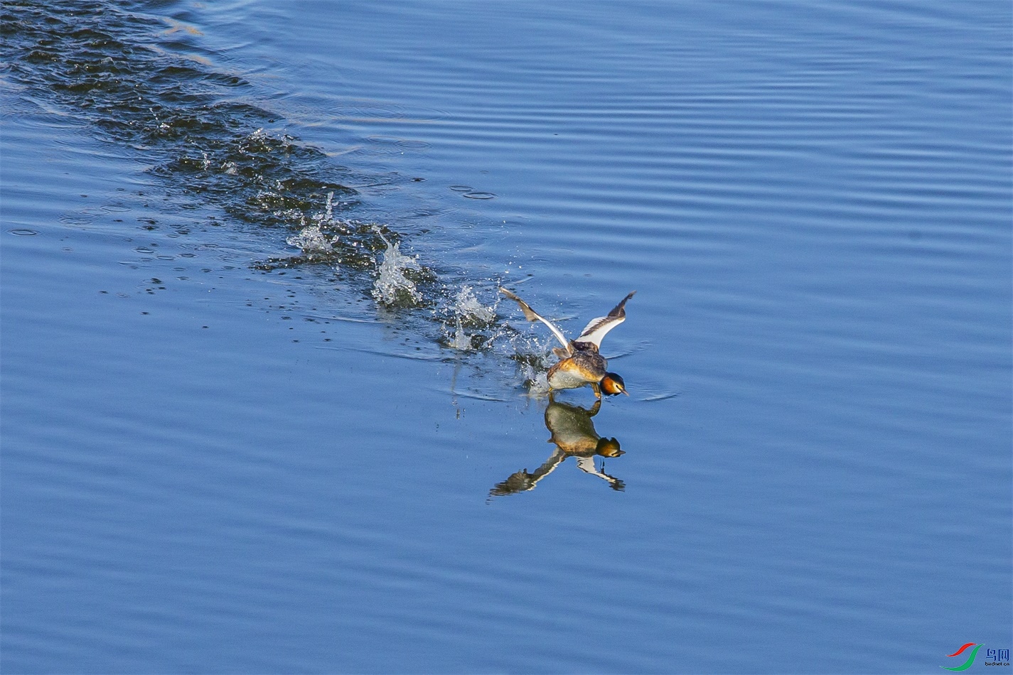 DK7T0244 ����1.jpg