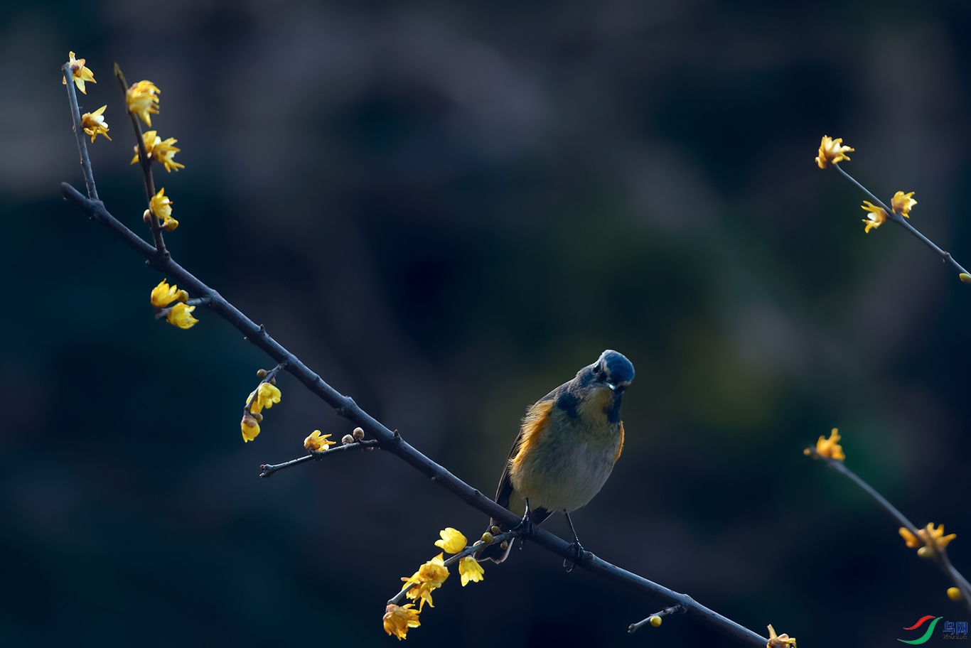 DSC_0014_DxOa.jpg