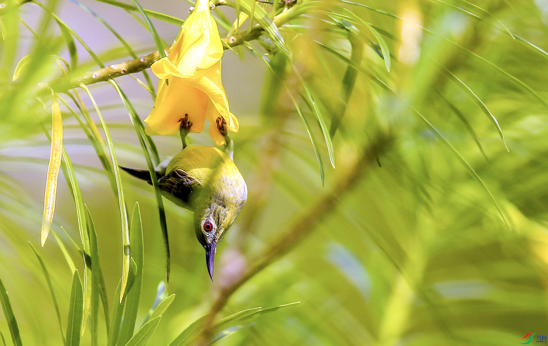 �ֺ�ʳ����  02.jpg