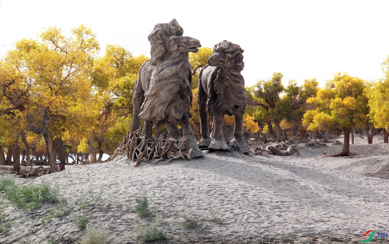 �����ӳ�� 1.jpg