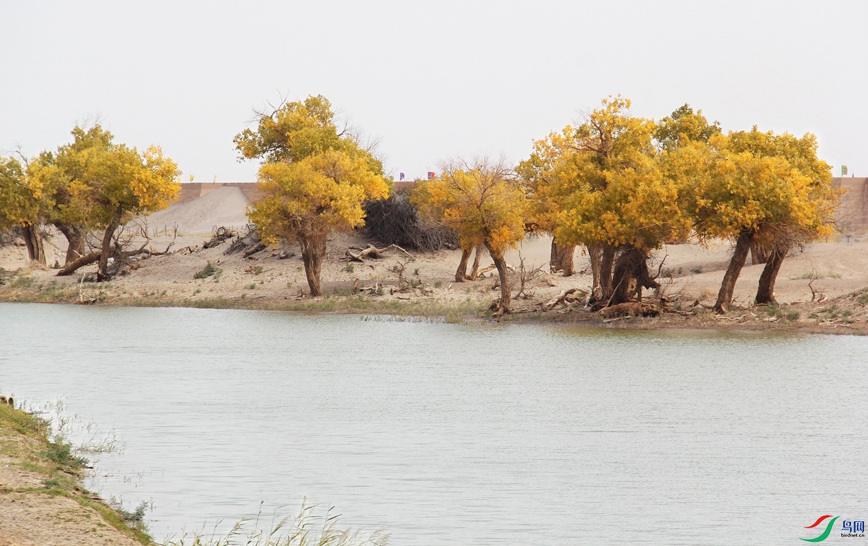 �����ӳ�� 4.jpg