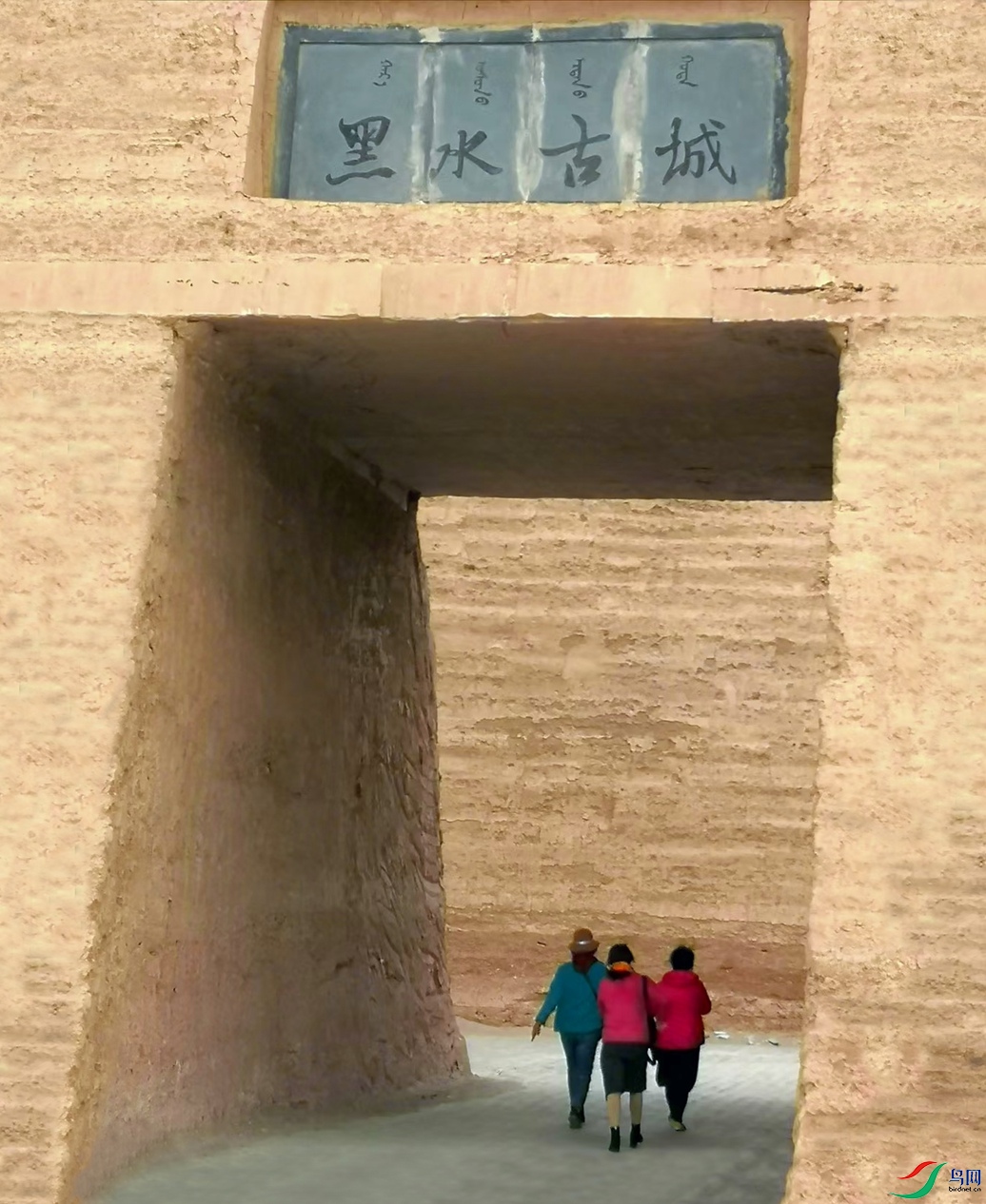 �����ӳ�� 5.jpg