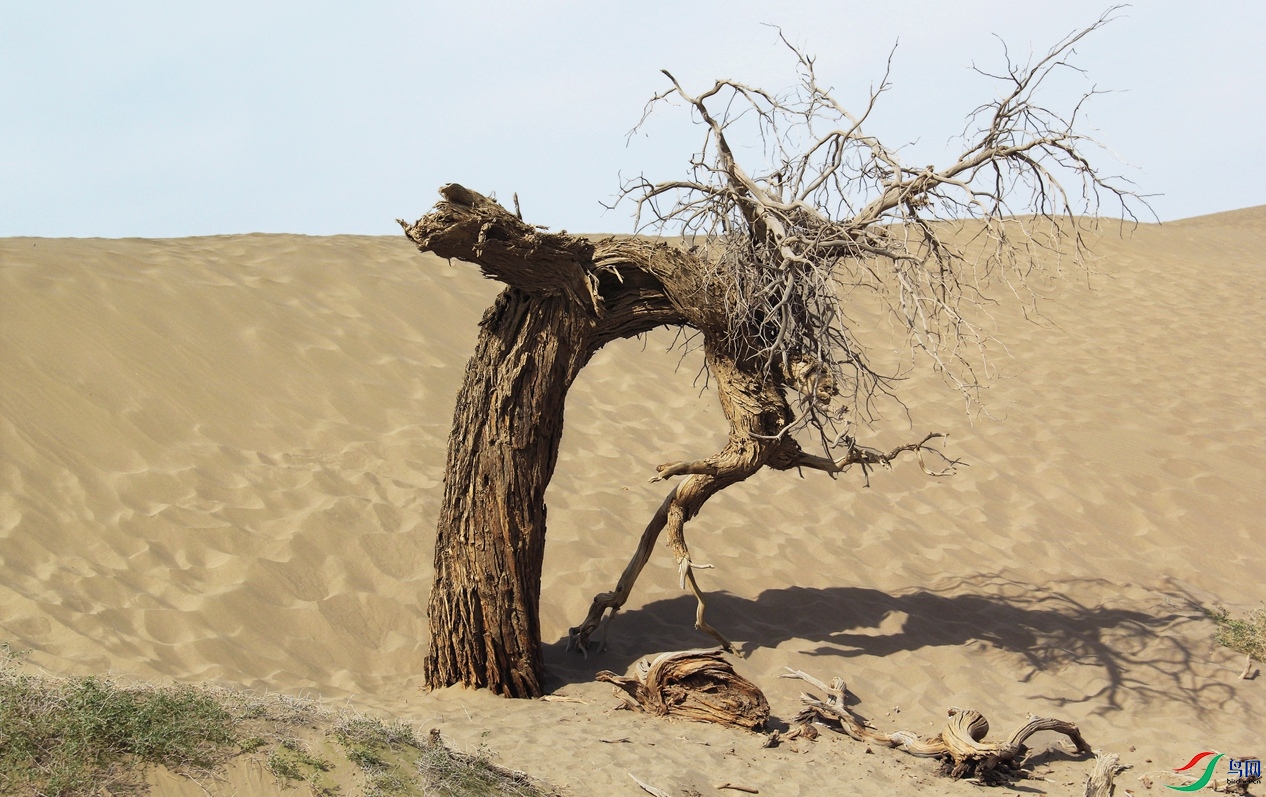 �����ӳ�� 9.jpg