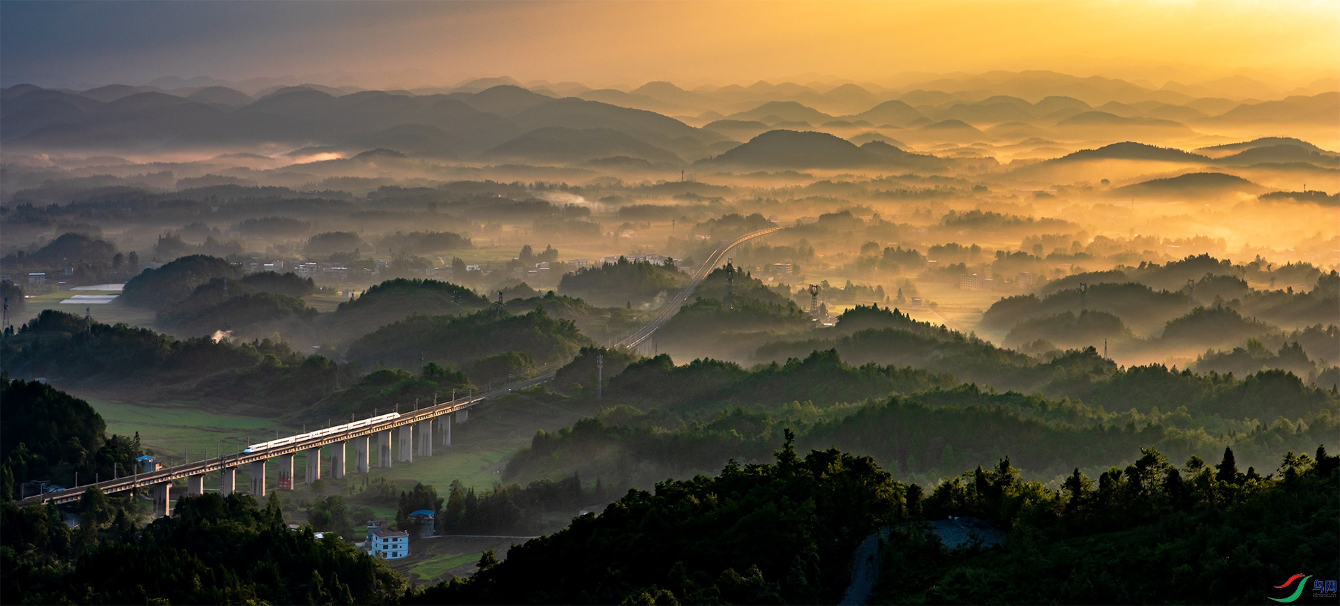 DSC_3710-1.jpg