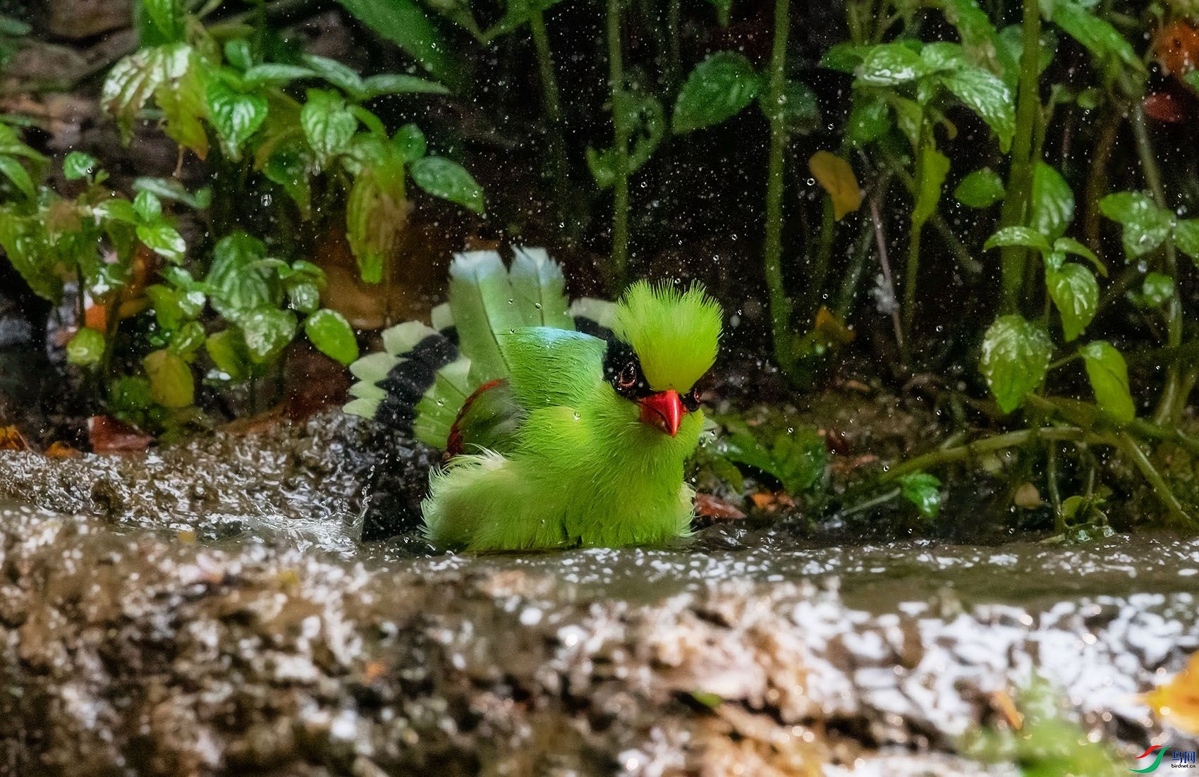 DSC_2845.jpg