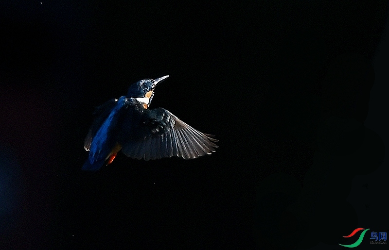 DSC_7578_����.jpg