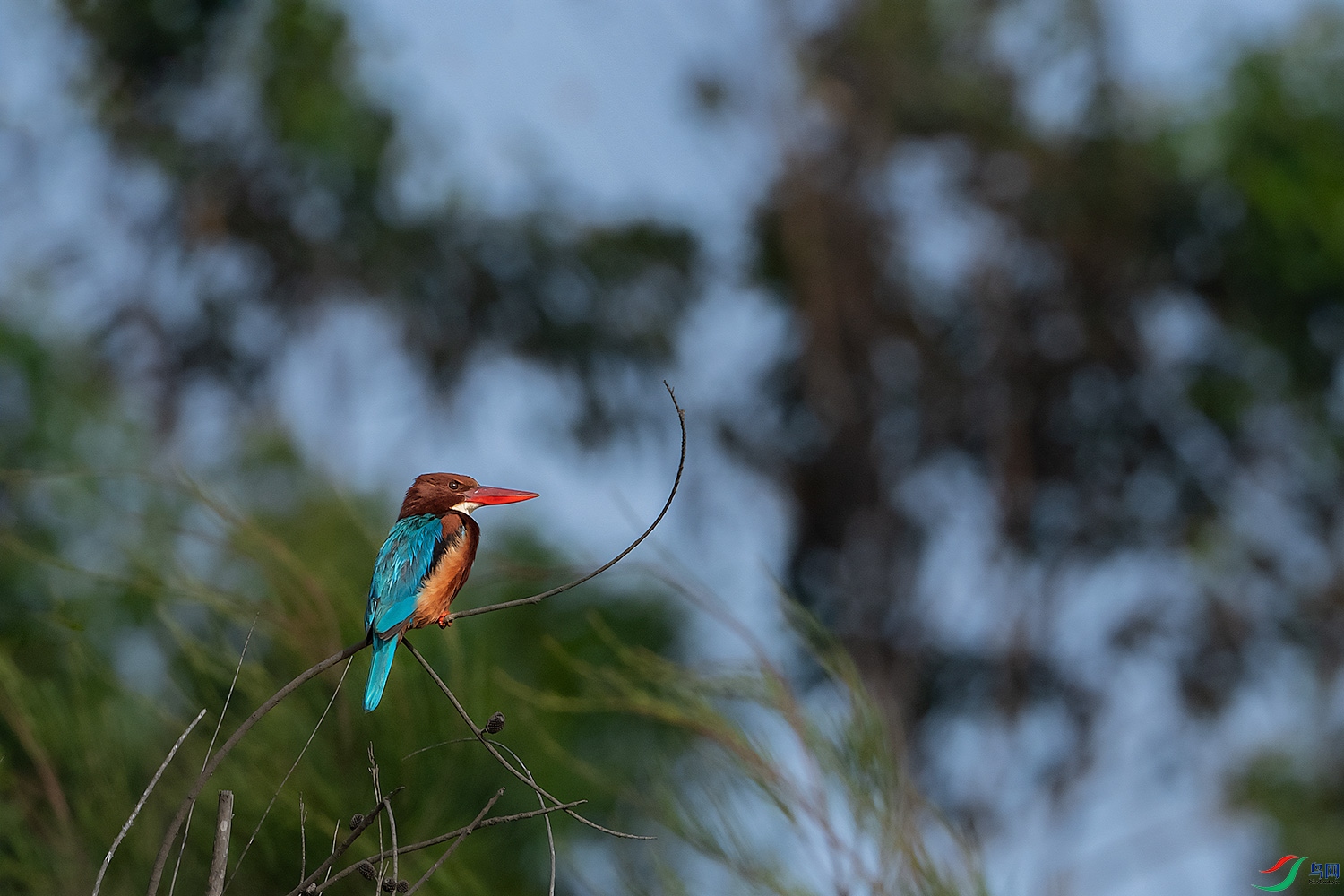 DSC_5415-2.jpg