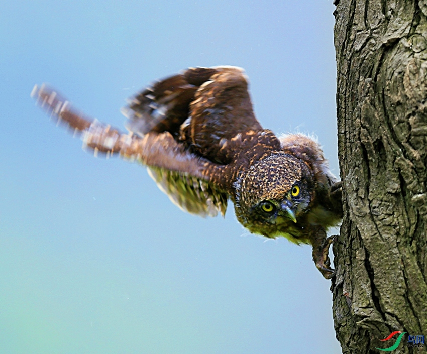 ����Ŀ��