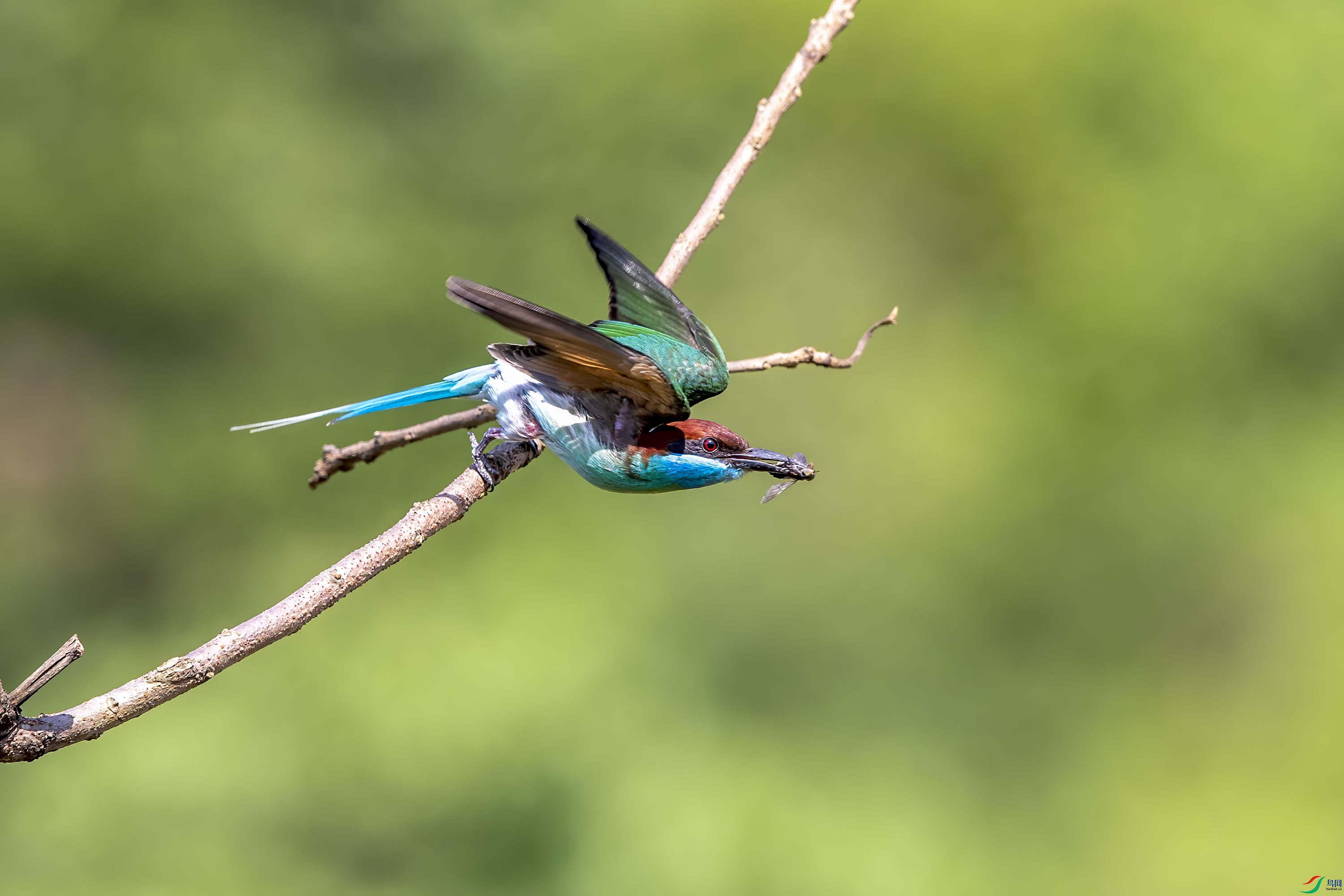 DSC_6071.jpg