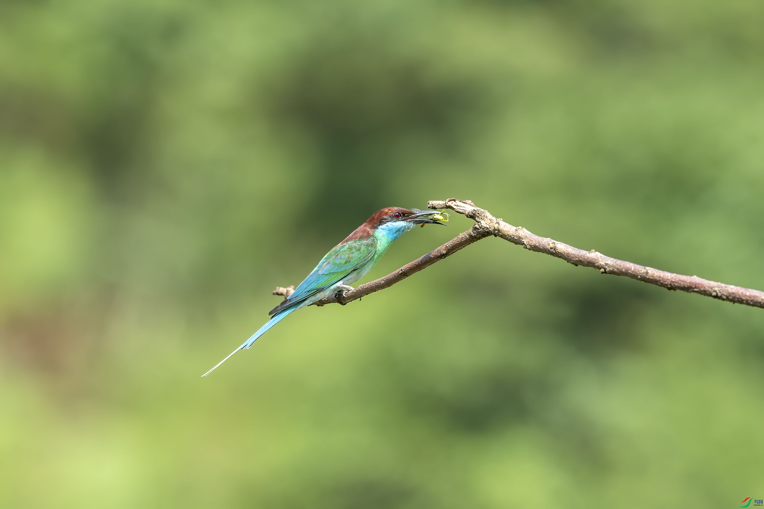 DSC_5922.jpg