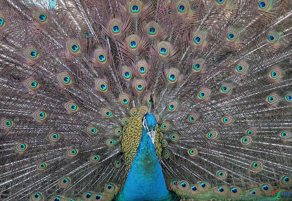 IMG_0140.jpg