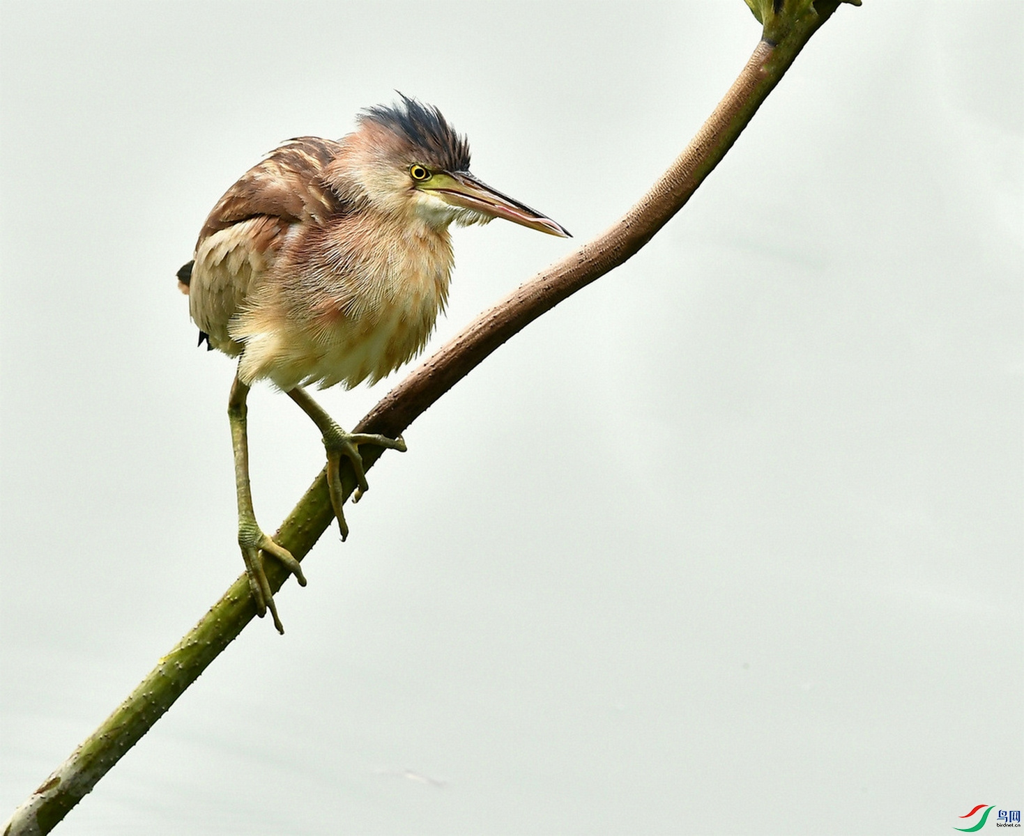 DSC_0109.JPG