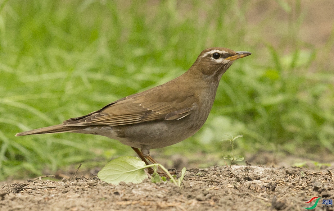 CS3U6228.jpg