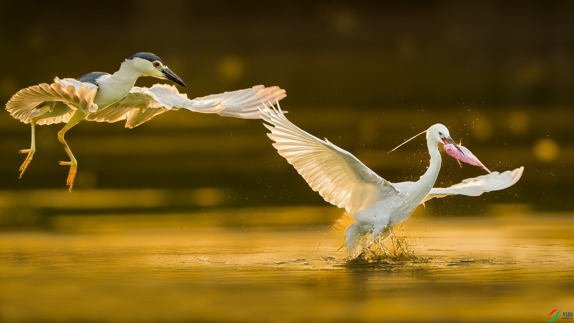 DSC_5150 ����-B.jpg