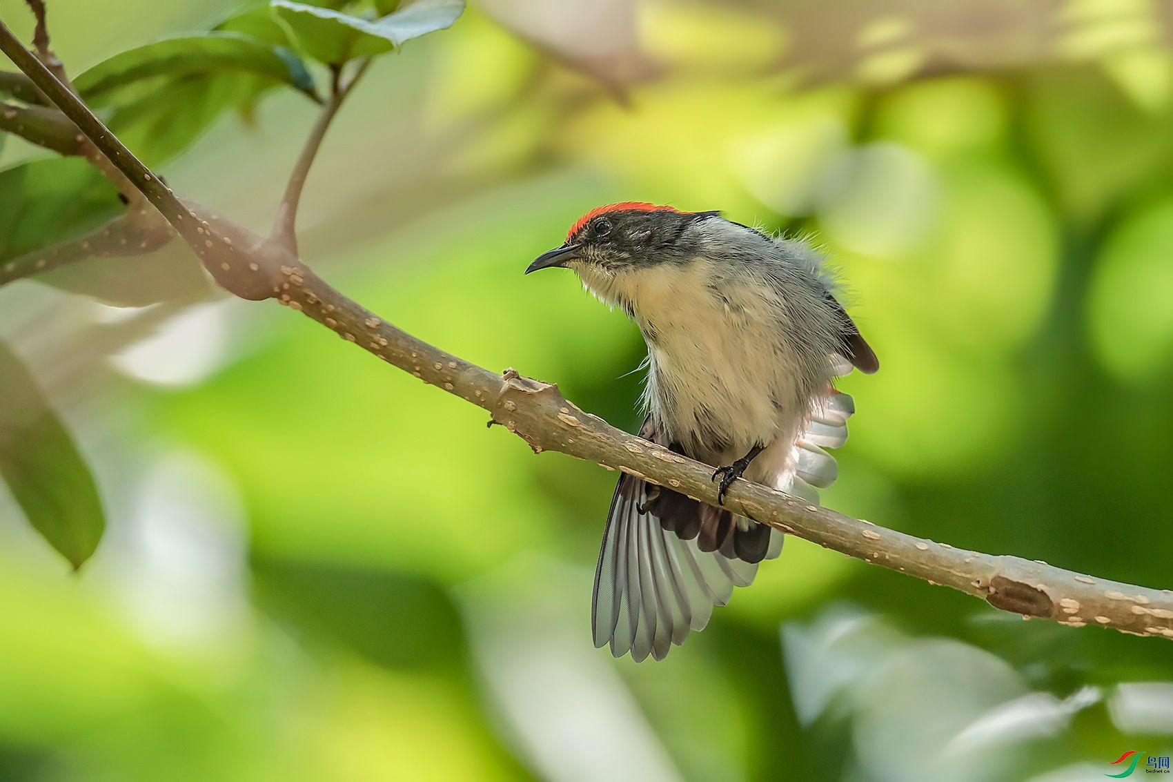 DSC_6422.jpg