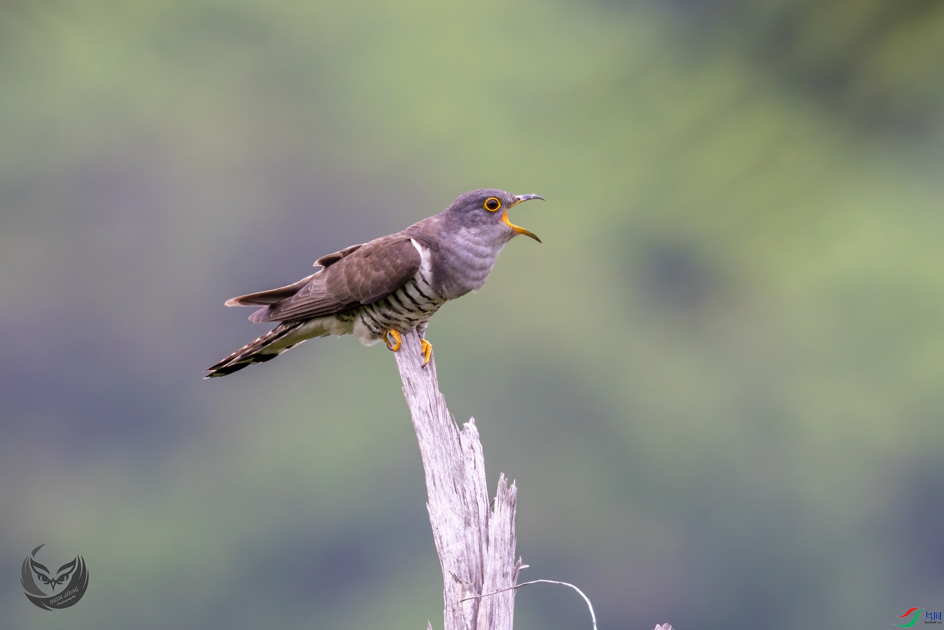 TCA_9871-��ؐ-(1).jpg