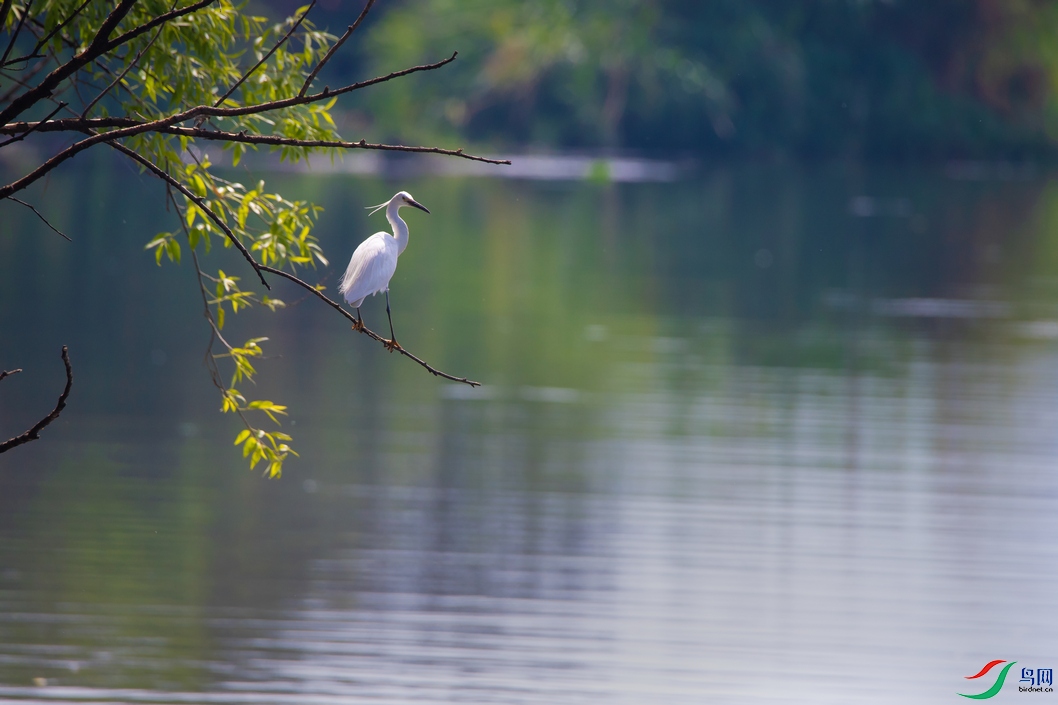 DSC_5829a.jpg