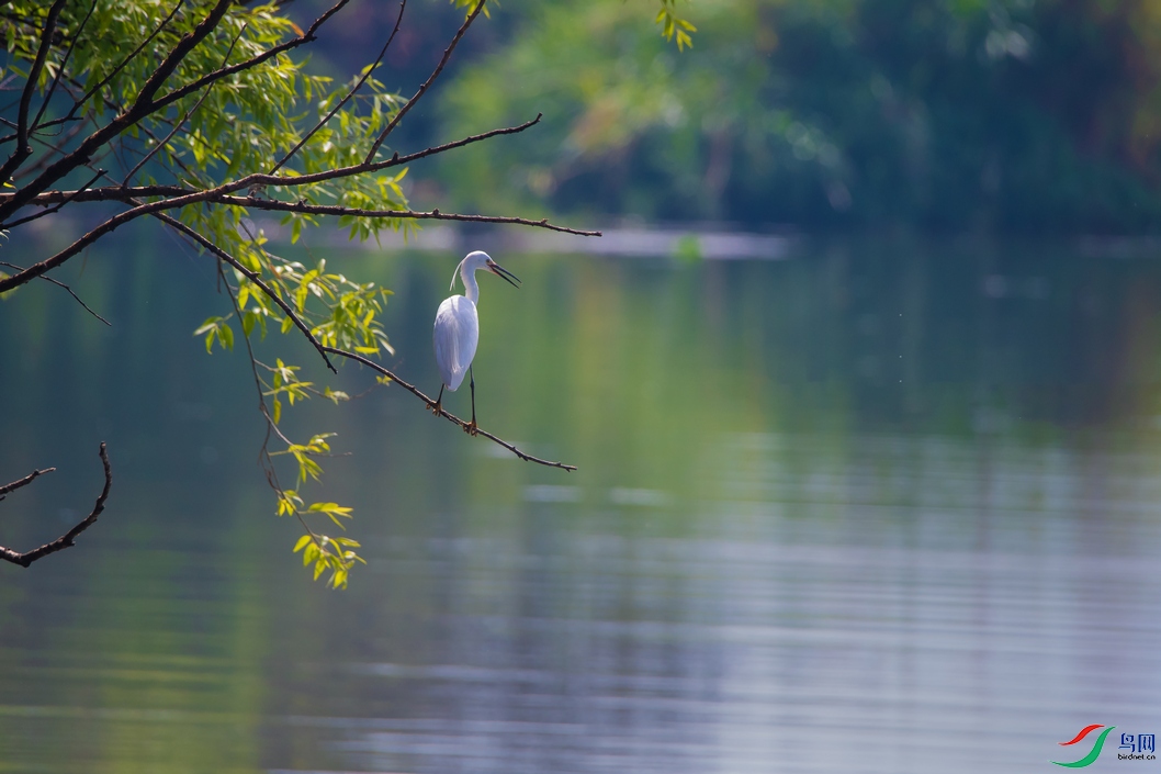 DSC_5821a.jpg