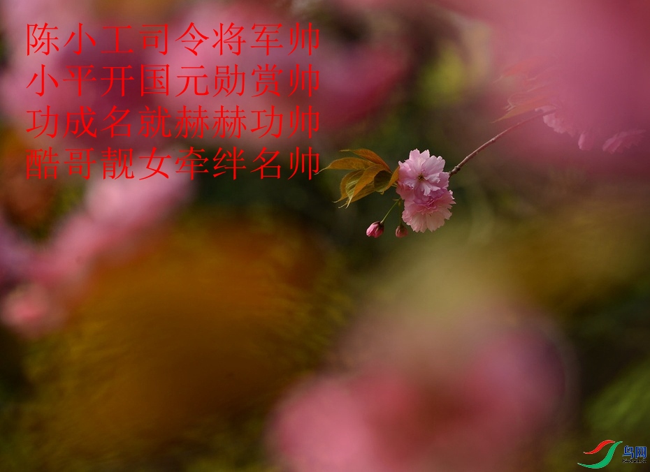 050532zualpuuyuasajppu (1)_����_����_����_����.jpg