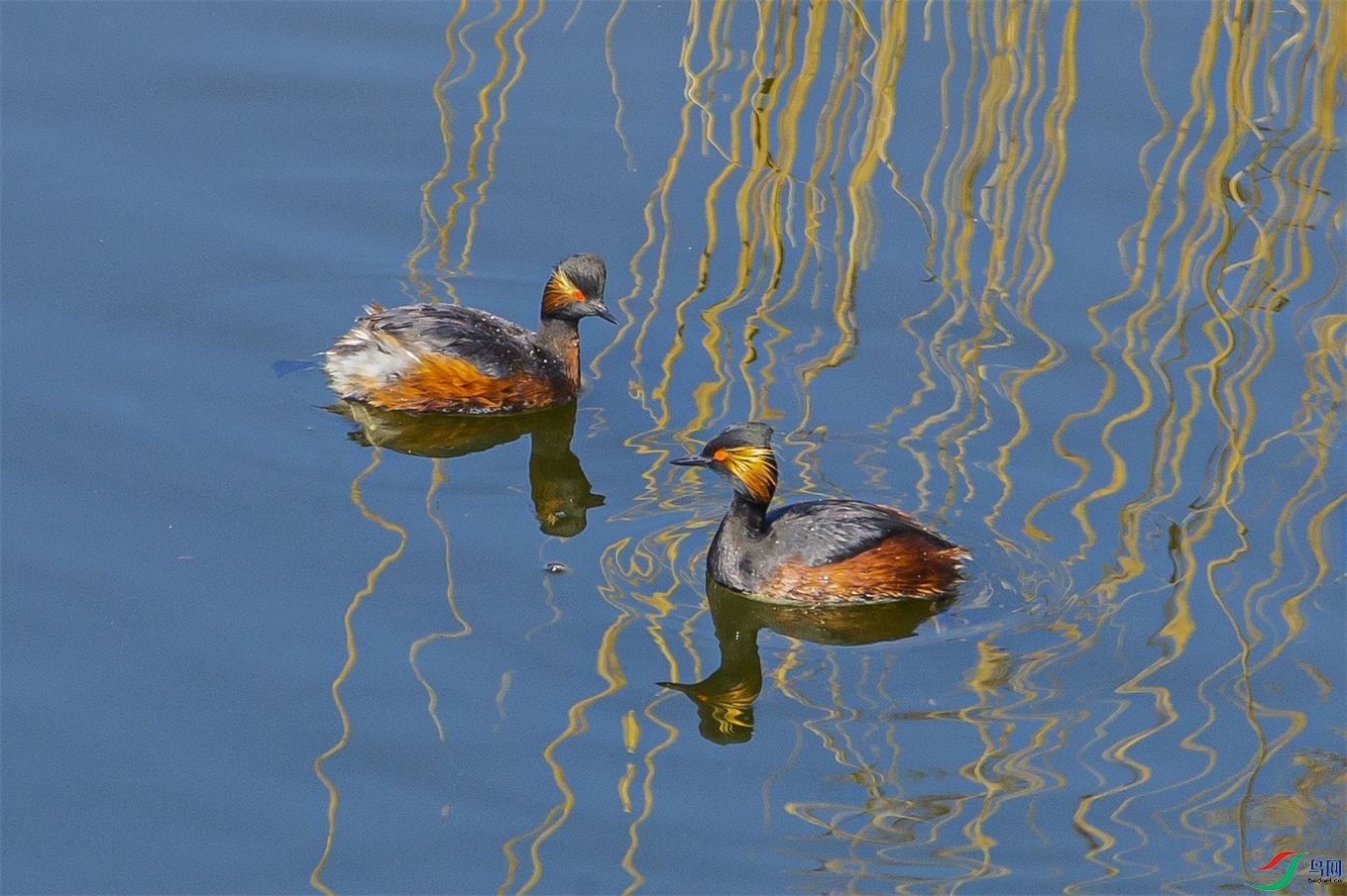 DK7T1801 ����1.jpg