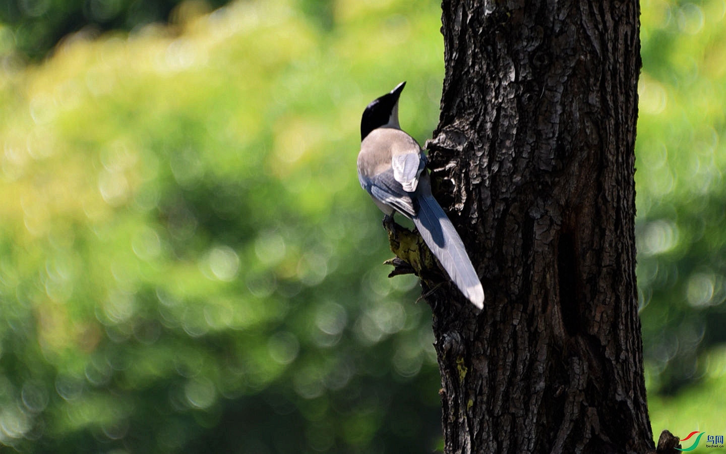 867 (54)_����.jpg