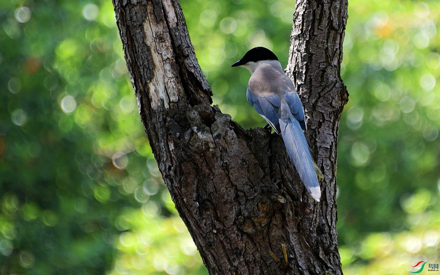 867 (55)_����.jpg