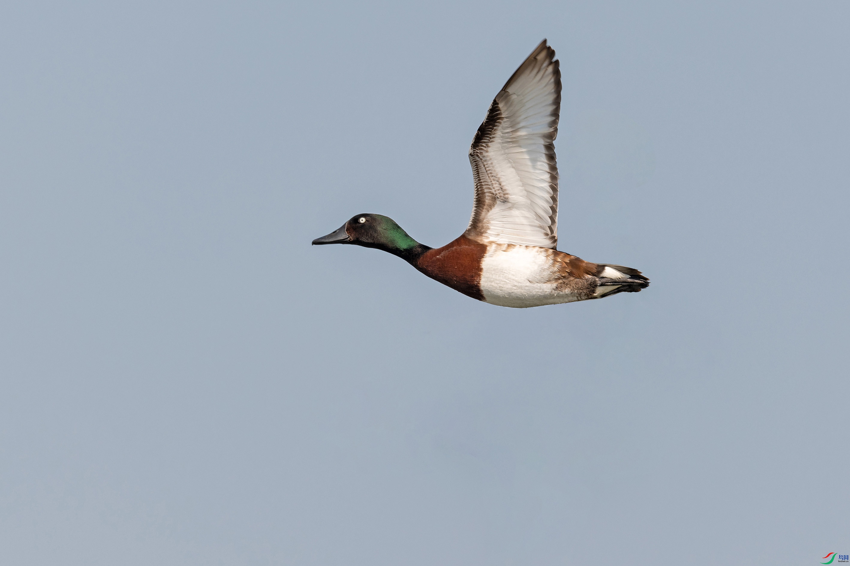 DSC_4758.jpg1.jpg2.jpg1.jpg