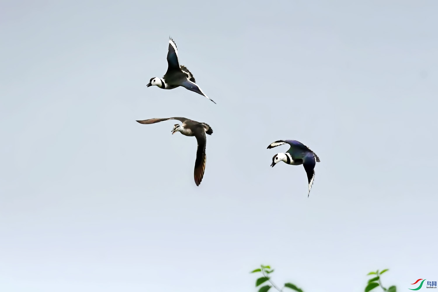 DSC_0374.jpg