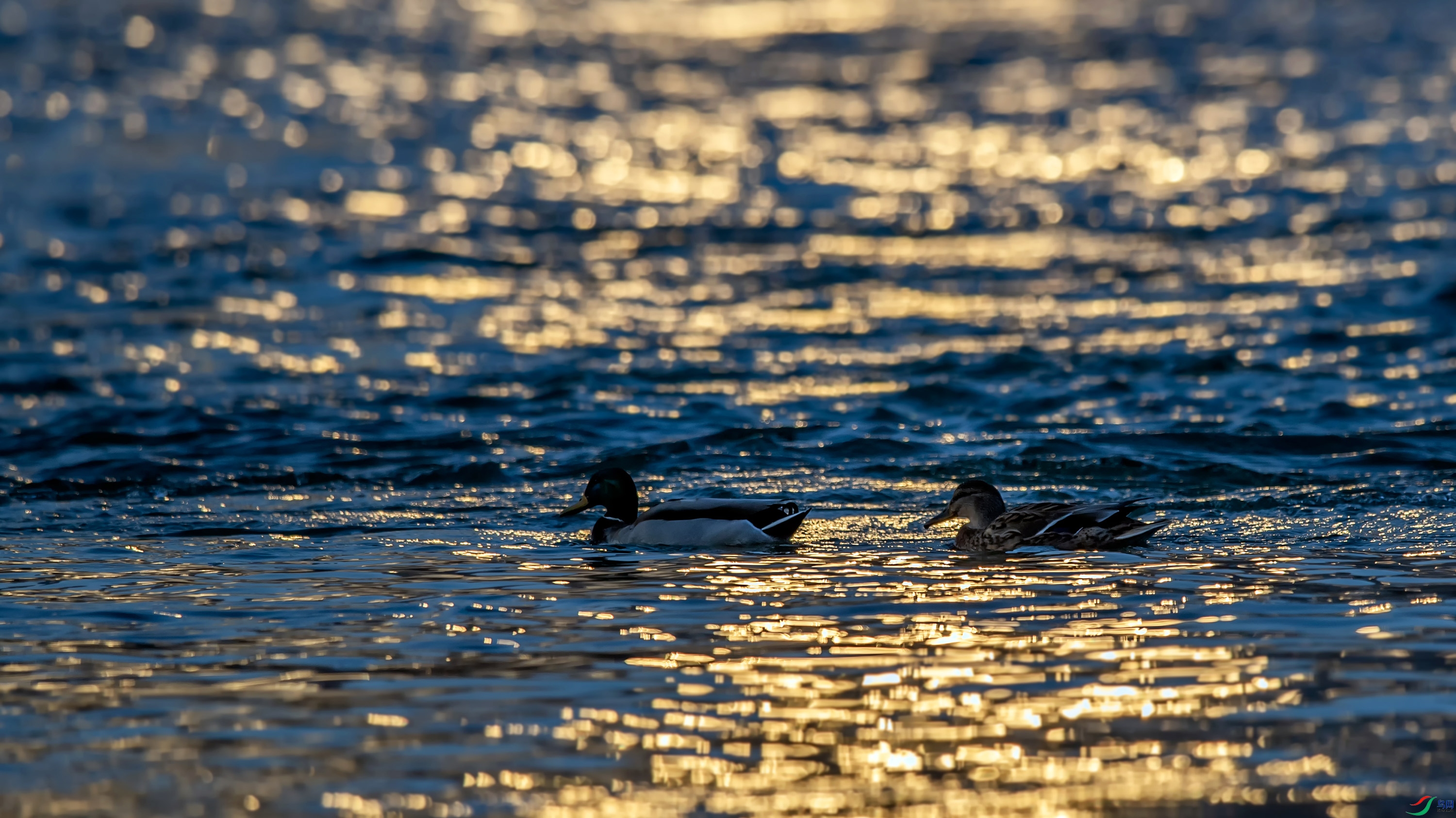 _DSC4357_��ͼ��.jpg