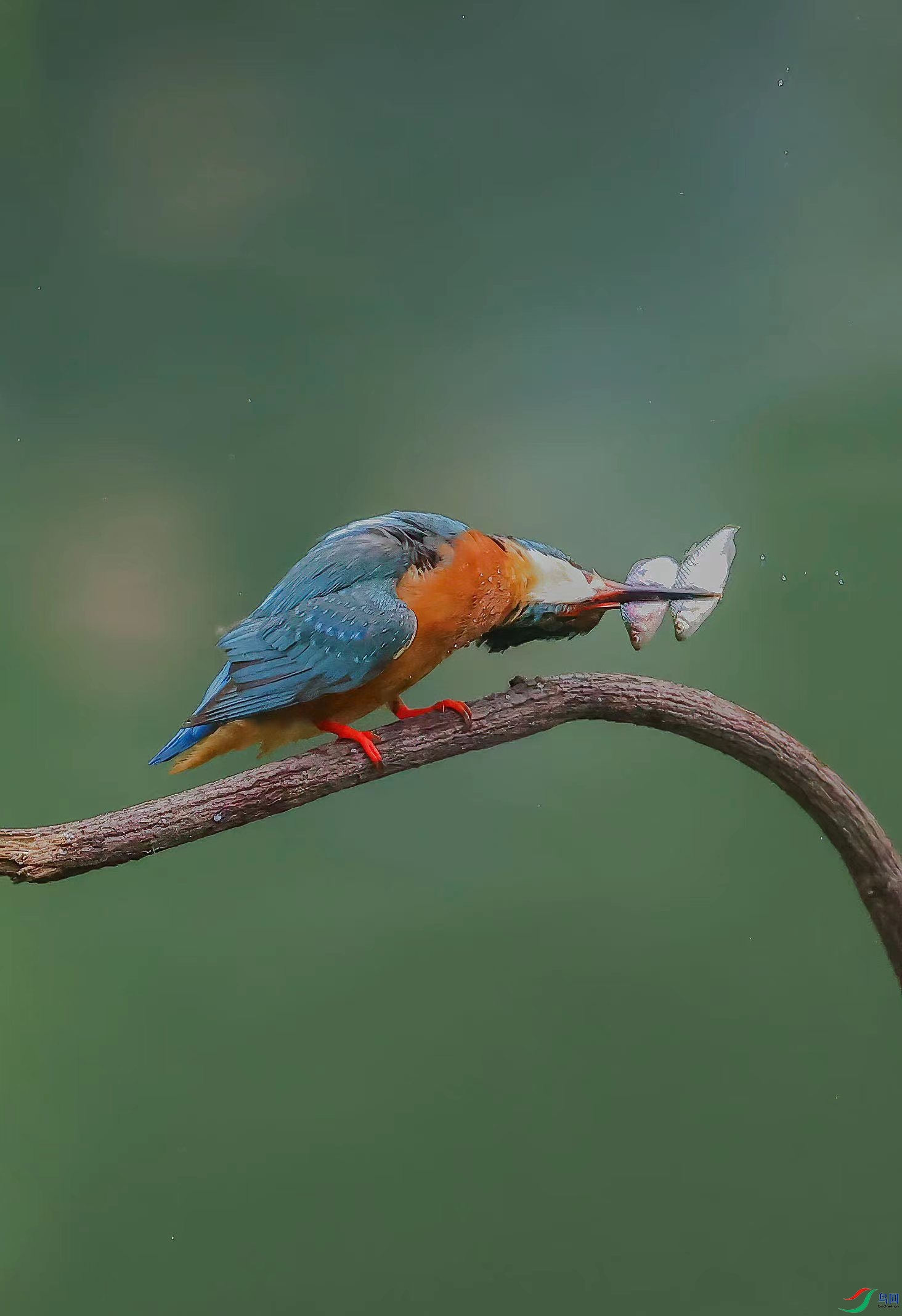 ����Ϸ��3