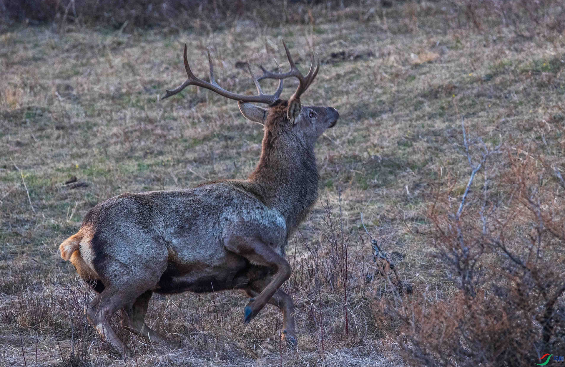 DSC_3222-1.jpg