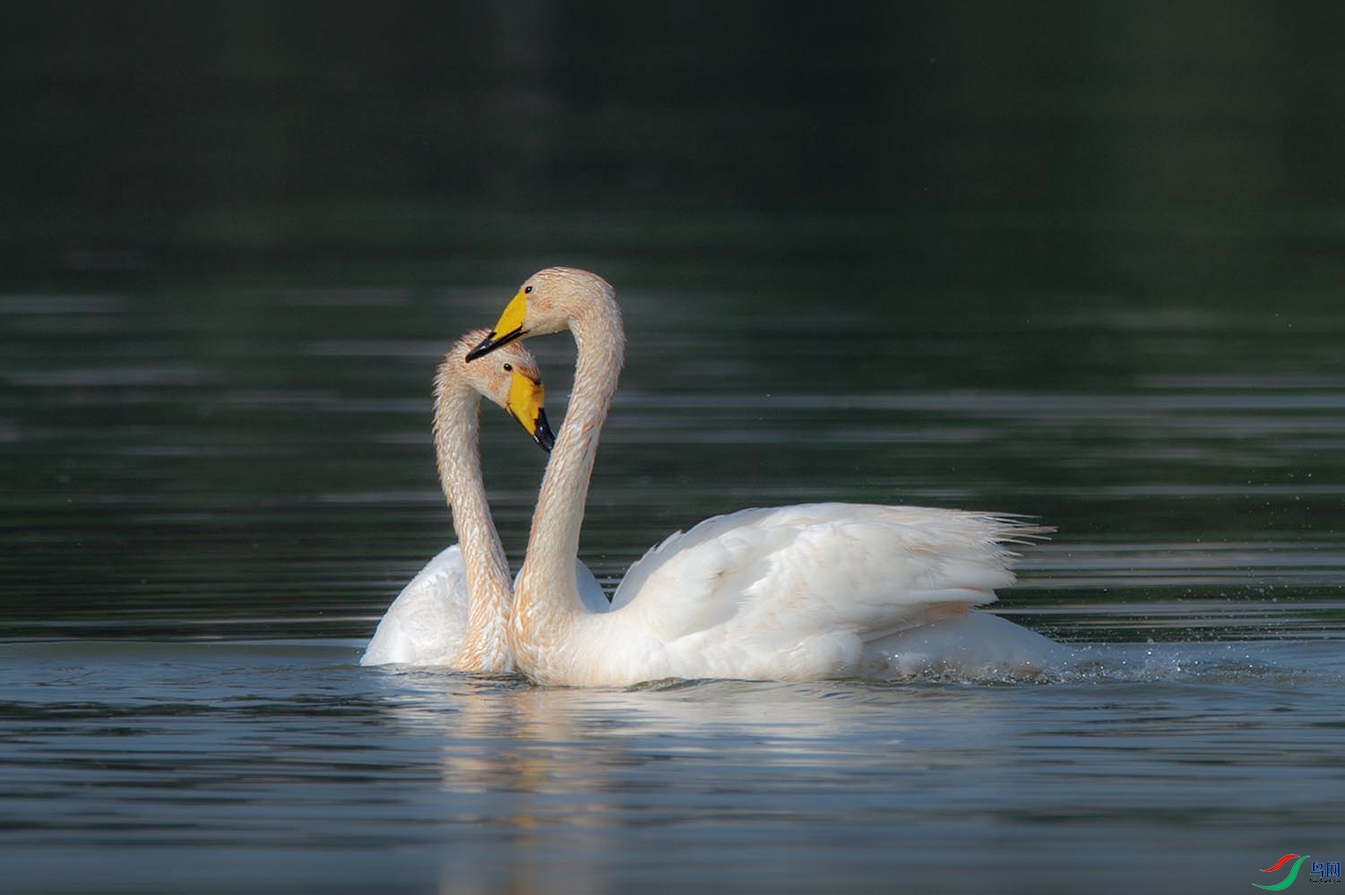 _DSC9674.jpg