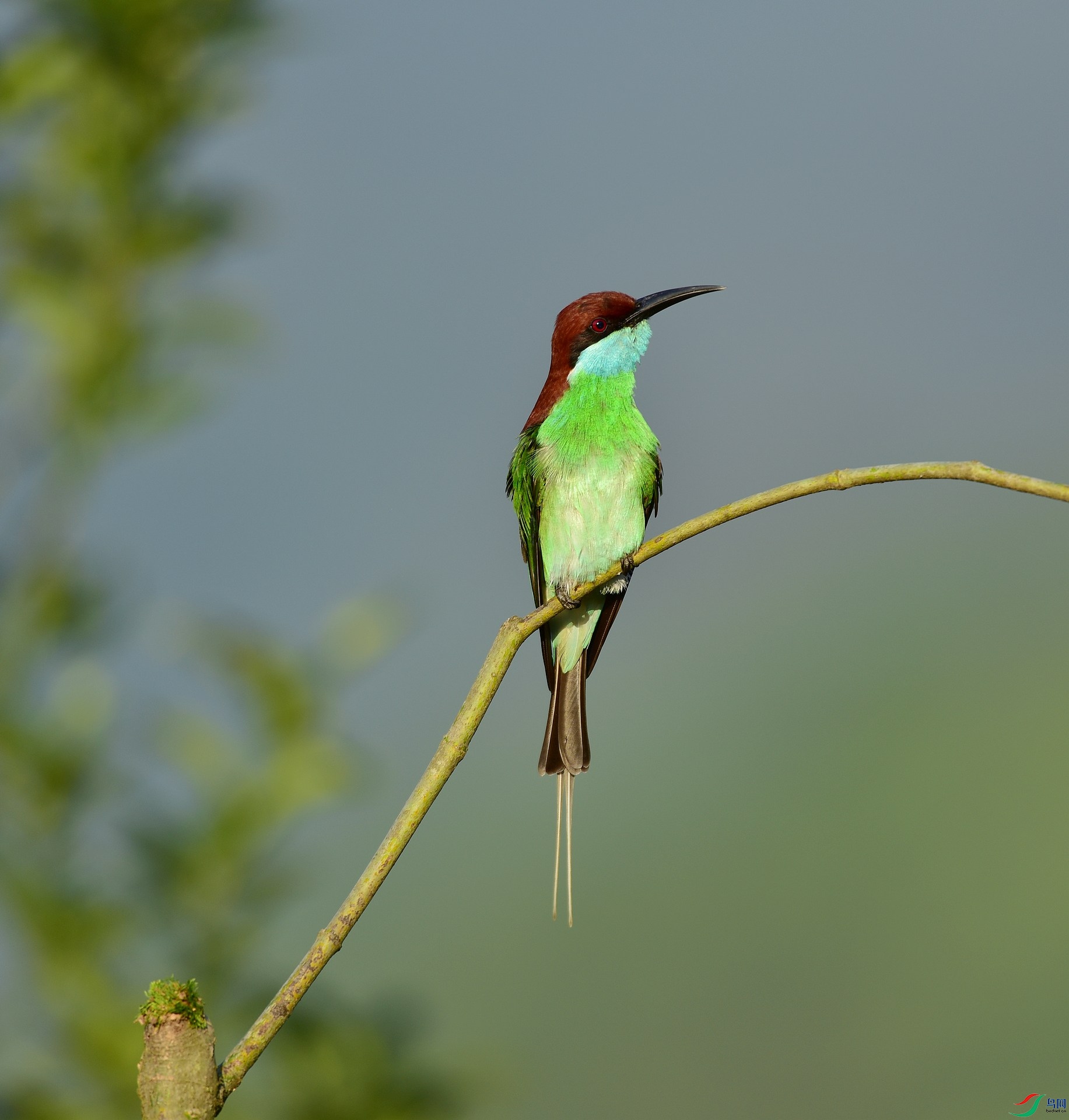 D8I_9673.jpg