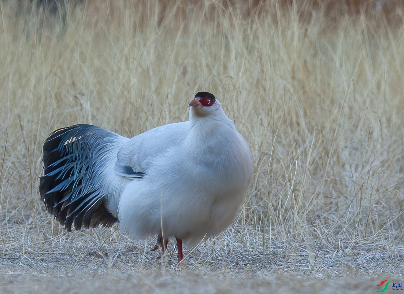 DSC_0727.jpg