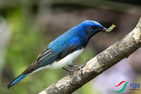 �׸����l  (32).jpg