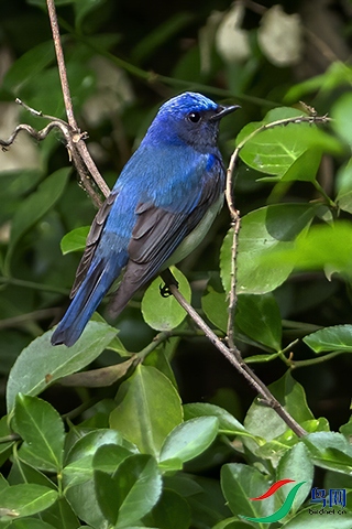 �׸����l  (27).jpg