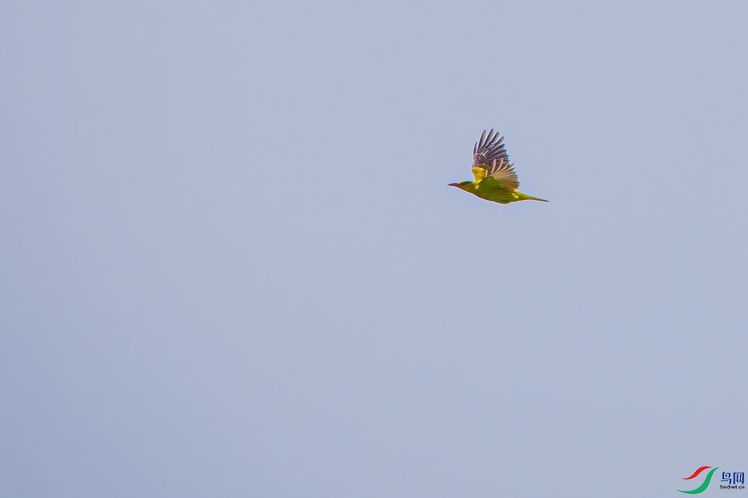 DSC_5769a.jpg