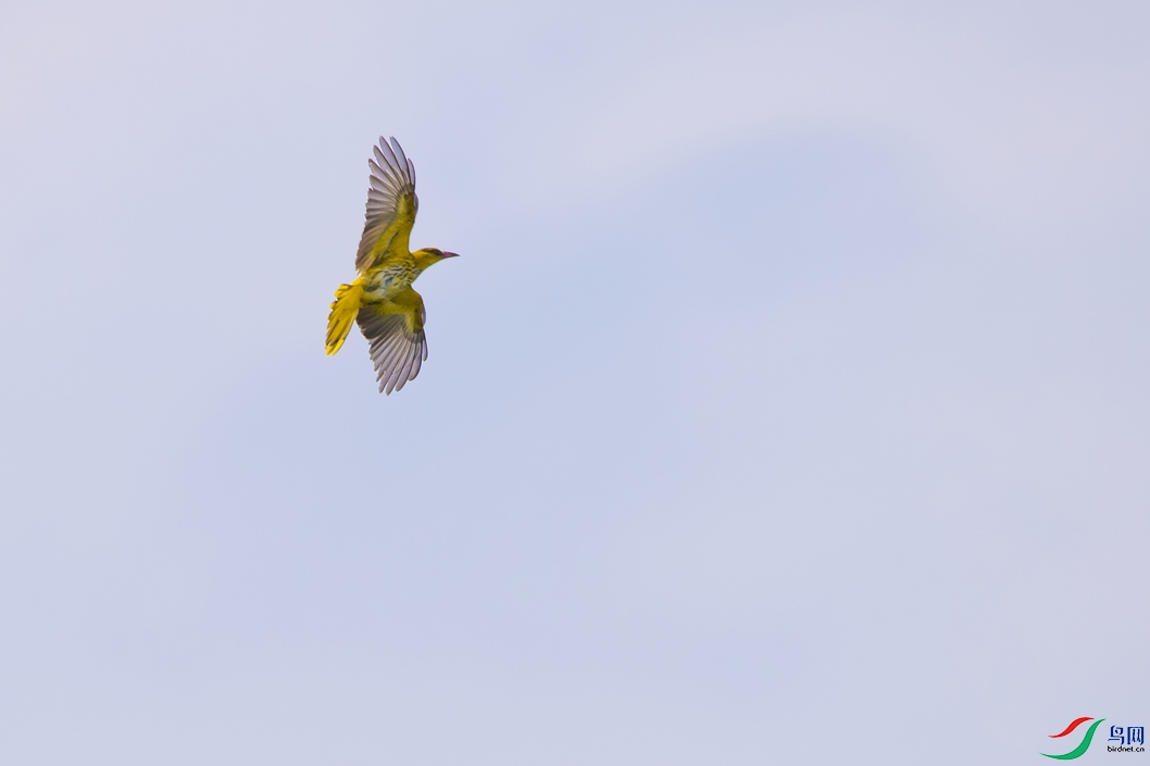 DSC_5798a.jpg
