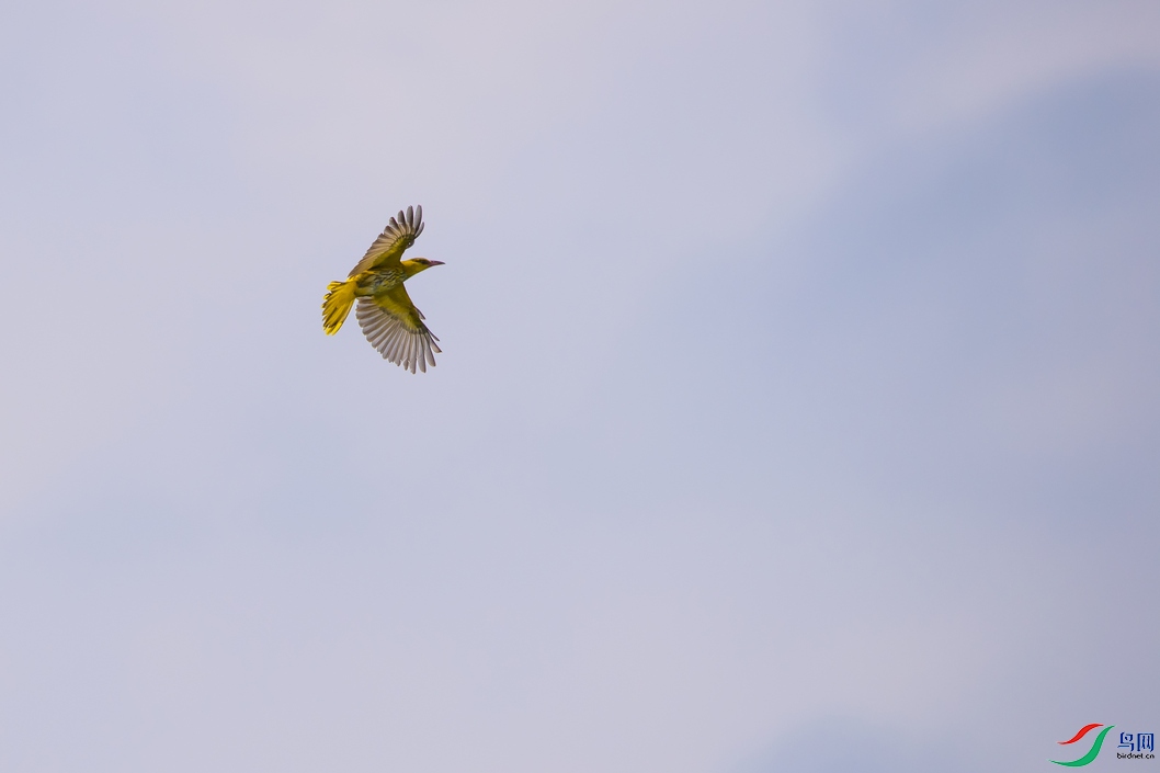 DSC_5797a.jpg