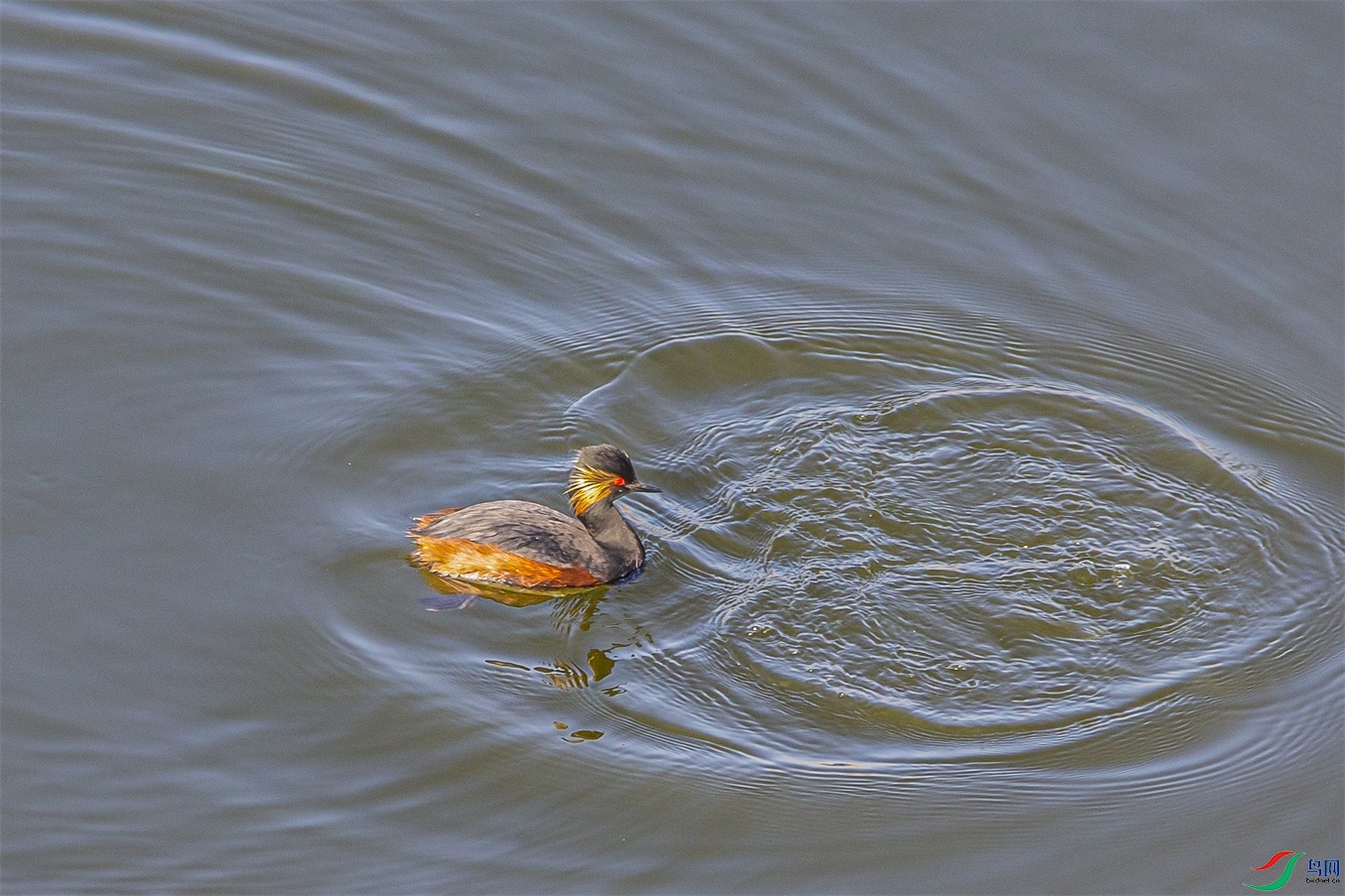 DK7T1444 ����1.jpg