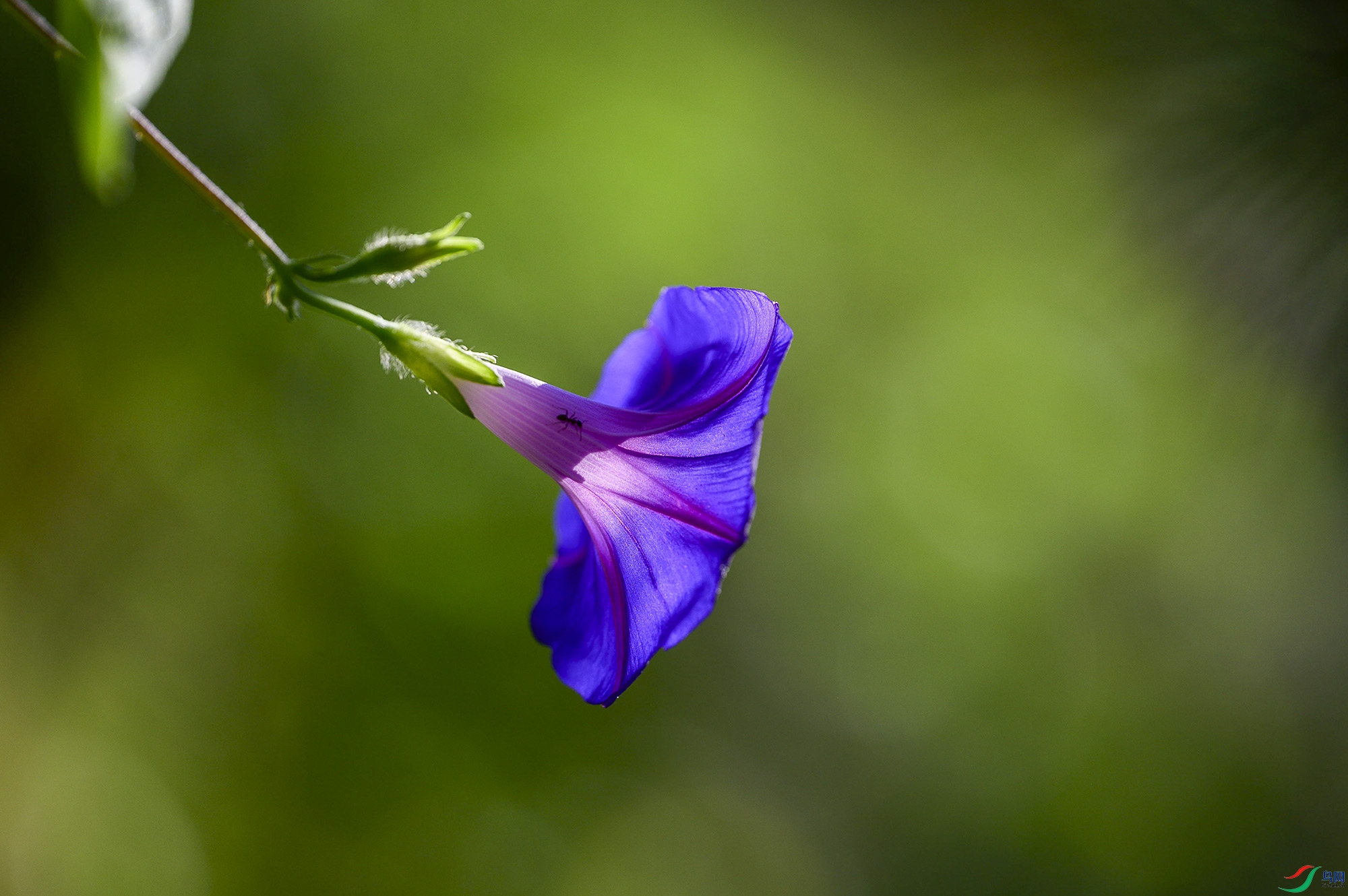 DSC_4782.jpg