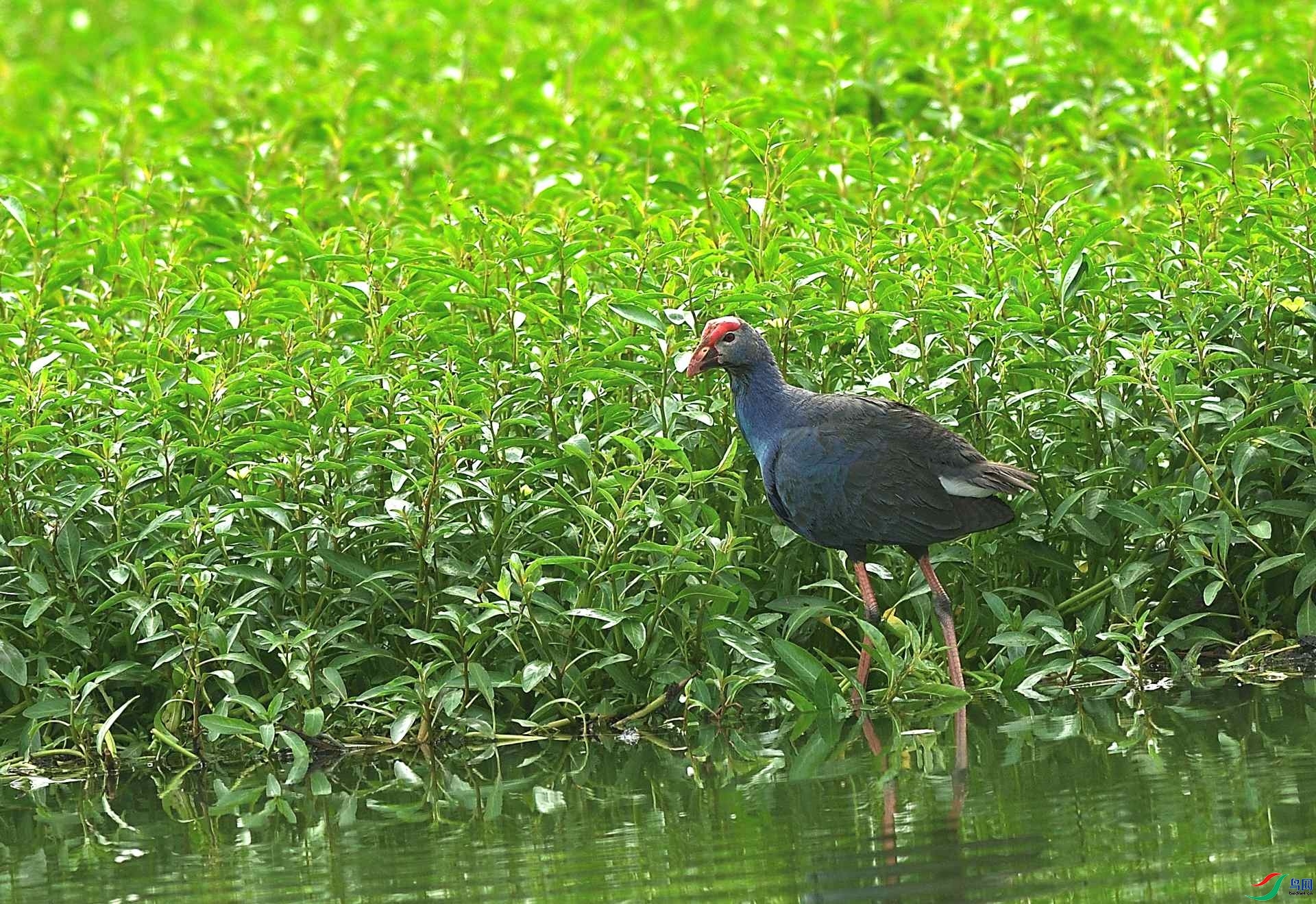 �����ɹ�  ��ʦ�����ڸ���ʡ������.jpg