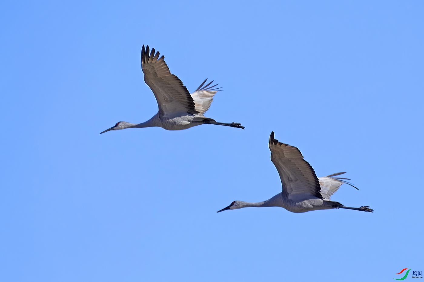 _DSD0697----.jpg