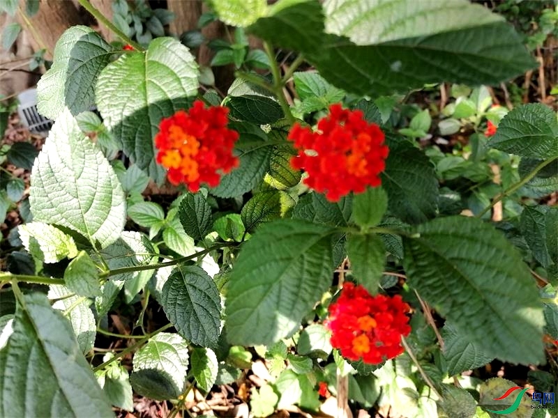 ΢��ͼƬ_20220518113840.jpg