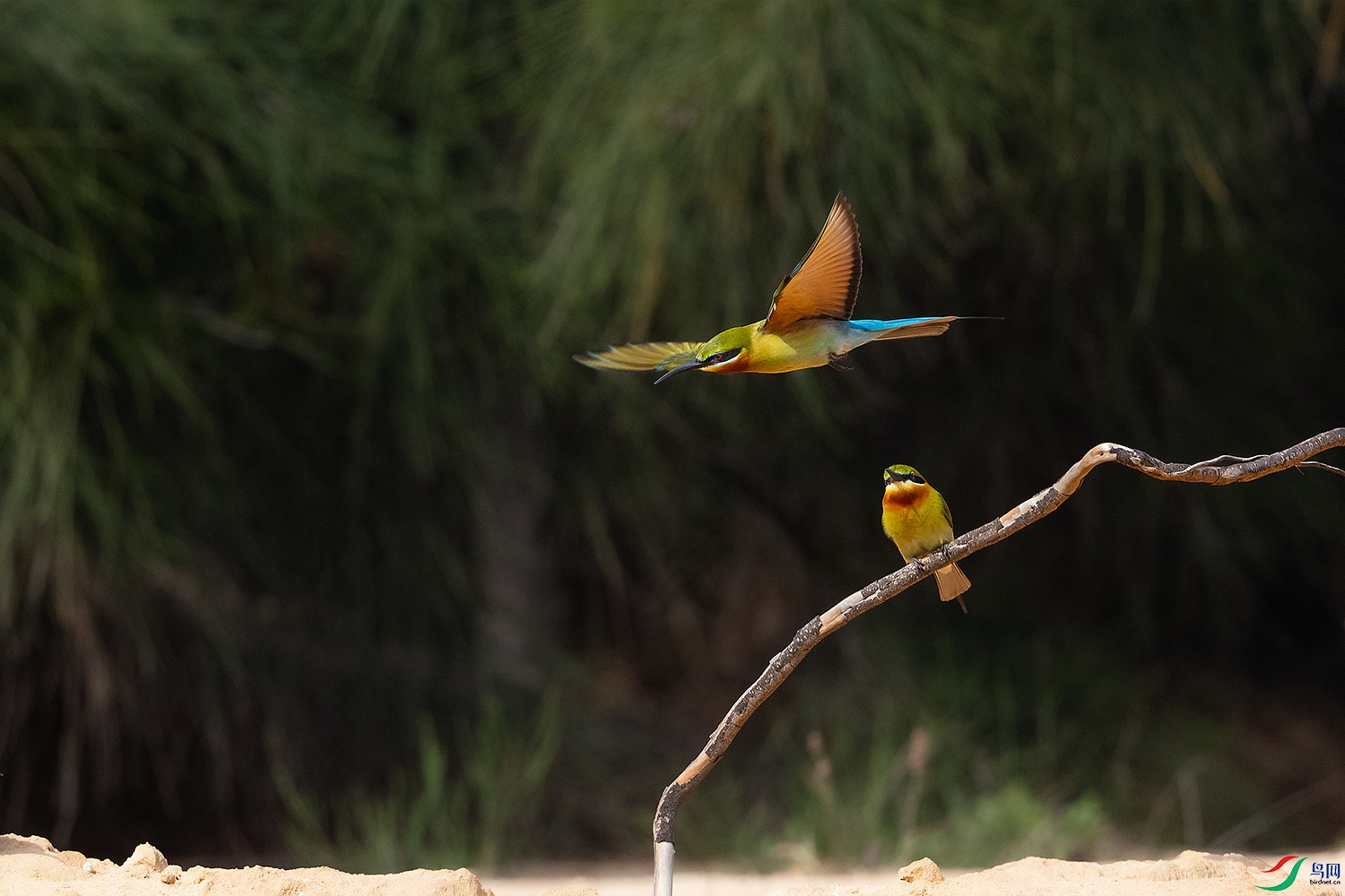DSC_5309-2.jpg
